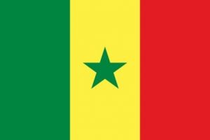 1280px-Flag_of_Senegal.svg copy