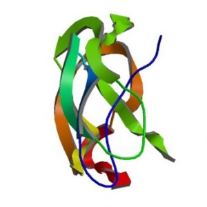 PBB_Protein_APP_image